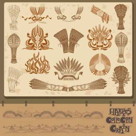 harvest grain and shief element collectionのイラスト素材