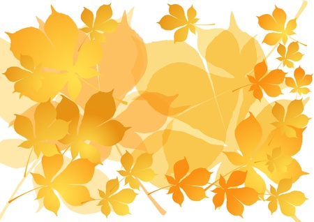 Autumn background. EPS10. のイラスト素材
