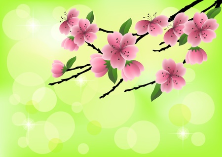 Spring blossom tree. EPS10. のイラスト素材