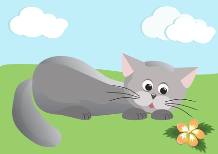 Grey cat and flower のイラスト素材