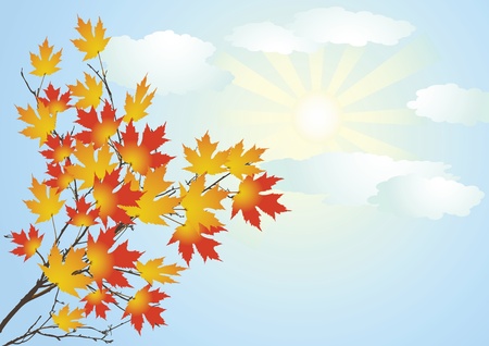 Autumn clear day  のイラスト素材