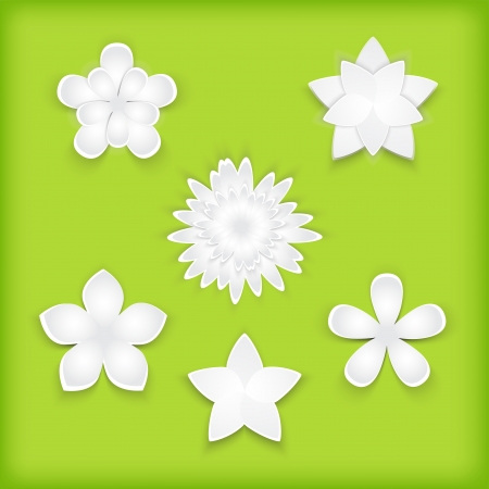 Paper flowers on the green background  Vector   のイラスト素材