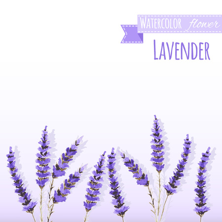 Watercolor lavender field border. Background with hand painted . Vector illustration.のイラスト素材