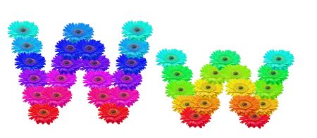 Daisy Upper and Lower Case Wの写真素材