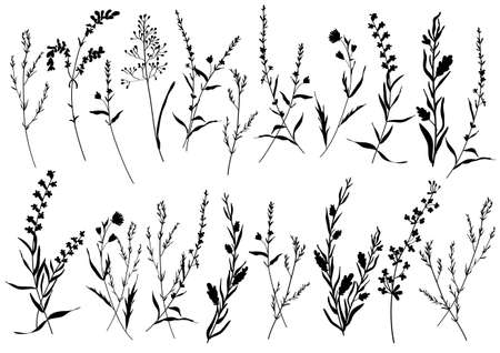 Big set silhouettes botanic blossom floral elements. Branches, leaves, herbs, wild plants, flowersのイラスト素材