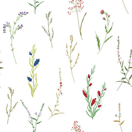 Blossom floral seamless pattern. Botanical motifs scattered random. Hand drawn different wild meadow flowers on whiteのイラスト素材