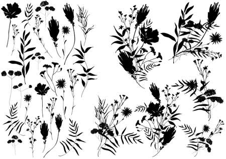 Big set silhouettes botanic floral elements. Branches, leaves, herbs, flowers. Garden, field, meadow wild plants.のイラスト素材
