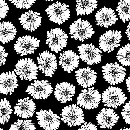 Trendy monochrome vector texture. Silhouettes floral seamless pattern. Hand drawn wild meadow daisy on black backgroundのイラスト素材