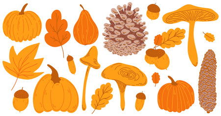 Autumn big hand drawing set. Flat doodle childish orange fall elements collection: oak, maple leaf, mushroom, acorn, rowan, pumpkin, pine cone. Simple aesthetic kids drawn isolated vector illustrationのイラスト素材