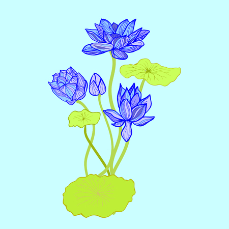 Hand drawn style design element. Vector illustration background of Beautiful  hand drawn lotus flowers and leaves.のイラスト素材