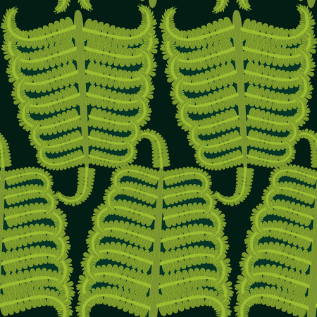 Vector Hand drawn Decorative pattern with fern ornament. Seamless repeating fern backgroundのイラスト素材