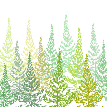 Hand drawn Decorative pattern with fern ornamentのイラスト素材