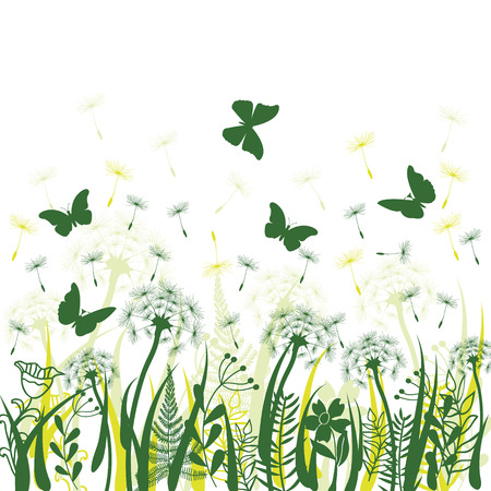Nature background with green grass, wild herbs,,dandelions and butterflies on white backdropのイラスト素材