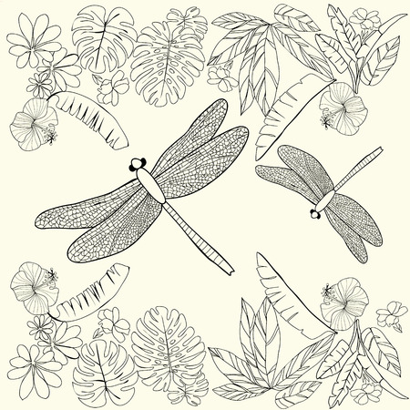 hand drawn Tropical  flowers, leaves and dragonflies. Coloring book for adult, Coloring page. Design template for card, print, template, wallpaper, texture.のイラスト素材