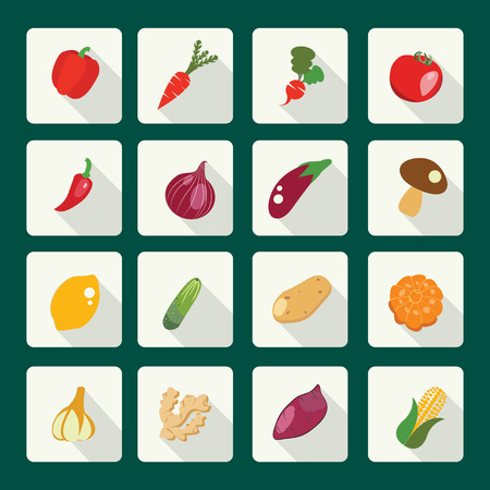 vector set icons of fresh and healthy food. Vegetables made in flat style with shadow, healthy eat concept.のイラスト素材