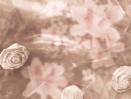 Fashion background  with space for your design. Soft focus photo flower. Bohemian boho style retro color trends for background vintage tone. の写真素材