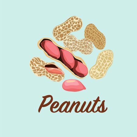 Vector illustration set of peanuts. Vector flat icons of peanut snack.