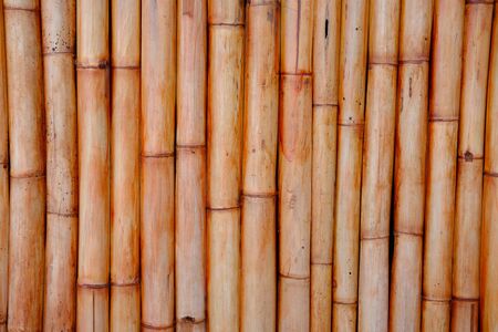 Close up of Bamboo wall or Bamboo fence texture. Old brown tone natural bamboo fence texture backgroundの写真素材
