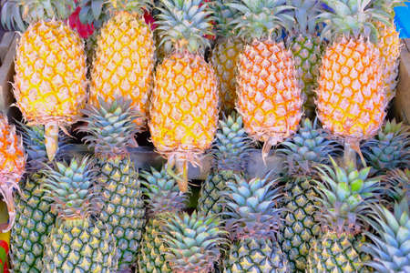 Collection of tropical fruit Sweet Pineapples Stack selling in fruit market.
