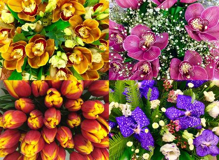 Collage of Orchids and tulips texture. Set of different exotic orchid flower for beautiful nature background. Top view.の写真素材