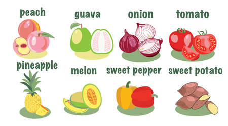Vegetable and fruits icon in flat style. Vegetable and fruits from the farm. Organic eco food illustration.のイラスト素材