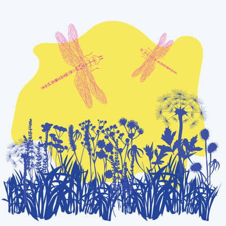 Hand drawn illustration with dandelions, dragonflies, flowers, grass and herbs silhouette. Summer meadow sketch style background.のイラスト素材