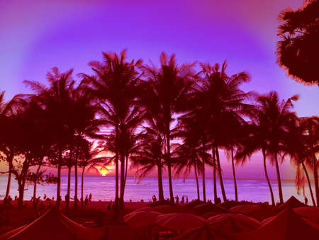 Colorful tropical sunset in coconut palms at pink tropical sunset over sea. Beautifully violet...