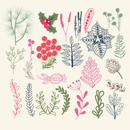 hand-drawn elements with Foliage, pine branches, holly berry. Winter Botanical collection for invitations, greeting card, textile, fabric, posters.のイラスト素材