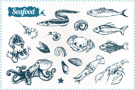 Sketch doodle icons seafood - fish, octopus, marine life, lobster. Isolated vector illustration. for design books, menus, packaging, scrapbooking. vintageのイラスト素材