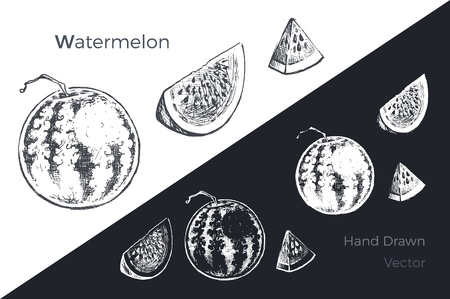 Hand drawn watermelon icons set isolated on white and black chalk background. Sketch of fruits for packaging and menu design. Vintage vector illustration.のイラスト素材
