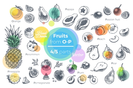 Fruits hand drawn vector set. Sketches of tropical fruits from O to P for design of juice packages and smoothie recipes. 4 of 5 partsのイラスト素材