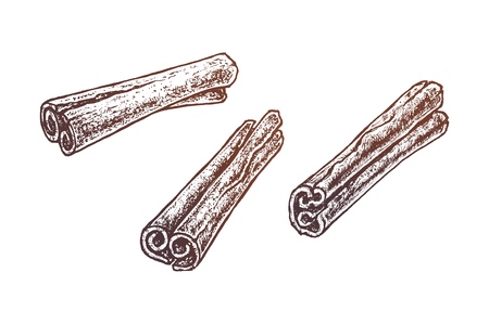 Hand drawn brown cinnamon sticks set isolated on white and black chalk background. Sketch of fruits for packaging and menu design. Vintage vector illustration.のイラスト素材