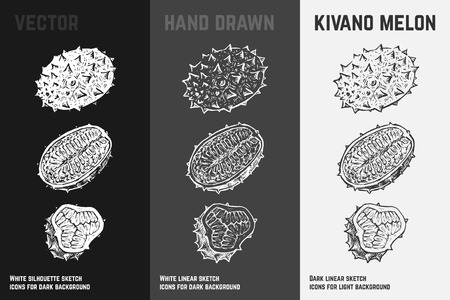 Hand drawn kivano icons set isolated on white, gray and black chalk background. Sketch of exotic fruits for packaging and menu design.のイラスト素材