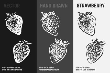 Hand drawn strawberry icons set isolated on white, gray and black chalk background. Sketch of berries for packaging and menu design.のイラスト素材
