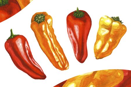 Yellow, red and orange mini peppers. Fresh sweet paprika. Hand drawn watercolor illustration isolated on white background. Design element for menu or recipe bookの写真素材
