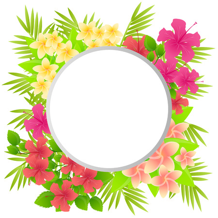 Tropical flowers Plumeria and Hibiscus. Background with place for text. Vector illustrationのイラスト素材