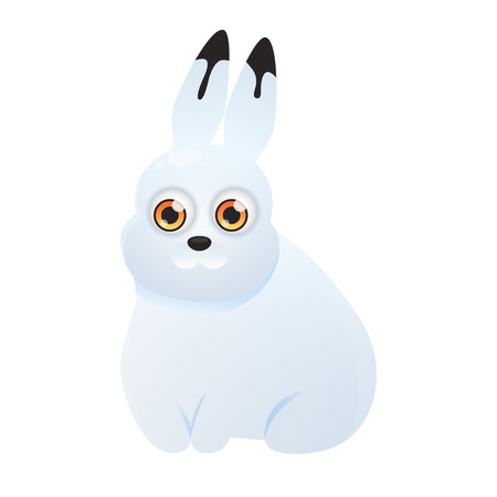 Polar hare isolated on white background.のイラスト素材