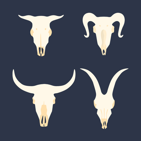 Set of animal skulls. Flat design. Vector illustration.のイラスト素材