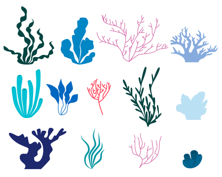 Set of elements of seaweed and coral isolated on white background. Flat design. Vector illustrationのイラスト素材
