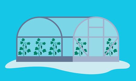 Greenhouse with cucumbers against the sky. Flat design. Vector illustrationの写真素材