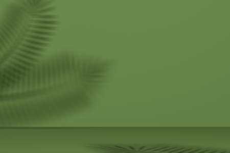 Green studio background with palm leaf shadow. 3d rendering