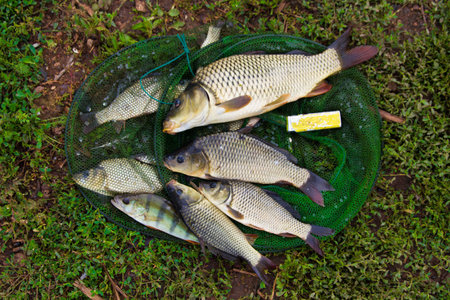 catchの写真素材