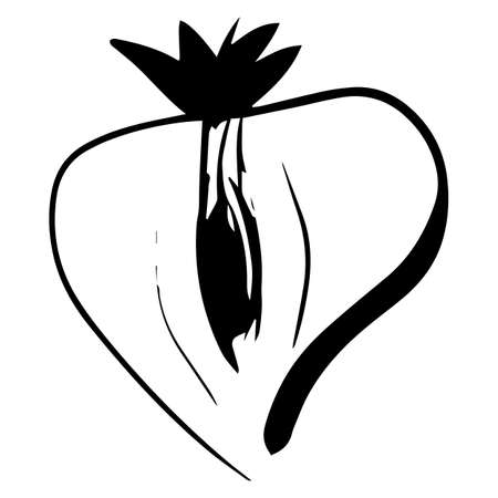 Vector isolated lineart style black half part strawberry. Design elementのイラスト素材