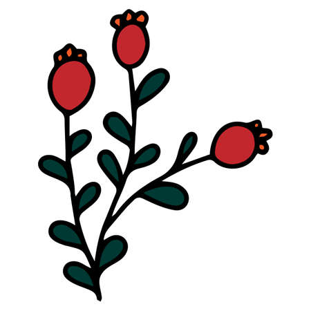 Doodle branch with green leaves and red berries. Decoration stem. Botanical elementのイラスト素材