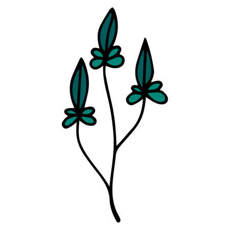 Vector isolated doodle branch with wild green leaves. Decoration stem. Botanical elementのイラスト素材