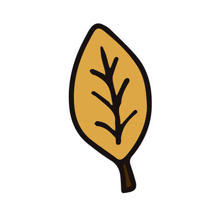 Vector isolated element back to school yellow leaf. Design element. Autumn leavesのイラスト素材