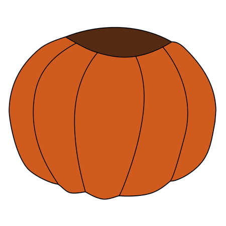 Vector isolated element orange round cut pumpkin. Vegan decoration. Halloween elementのイラスト素材