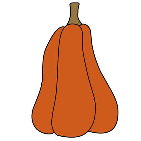 Vector isolated element classic orange tall pumpkin. Vegan decoration. Halloween elementのイラスト素材