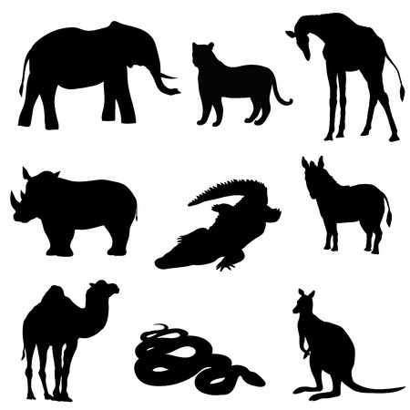 Vector illustration. Image rhino kangaroo, giraffe, elephant, zebra, snake, crocodile camel tiger a black silhouetteのイラスト素材