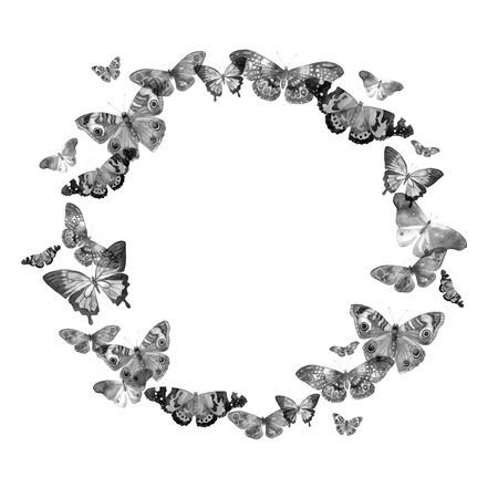 Watercolor frame with the image of transparent butterflies in black and white and gray colors on a white background.の写真素材